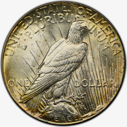 1928 Peace Dollar $1 MS62 NGC Reverse
