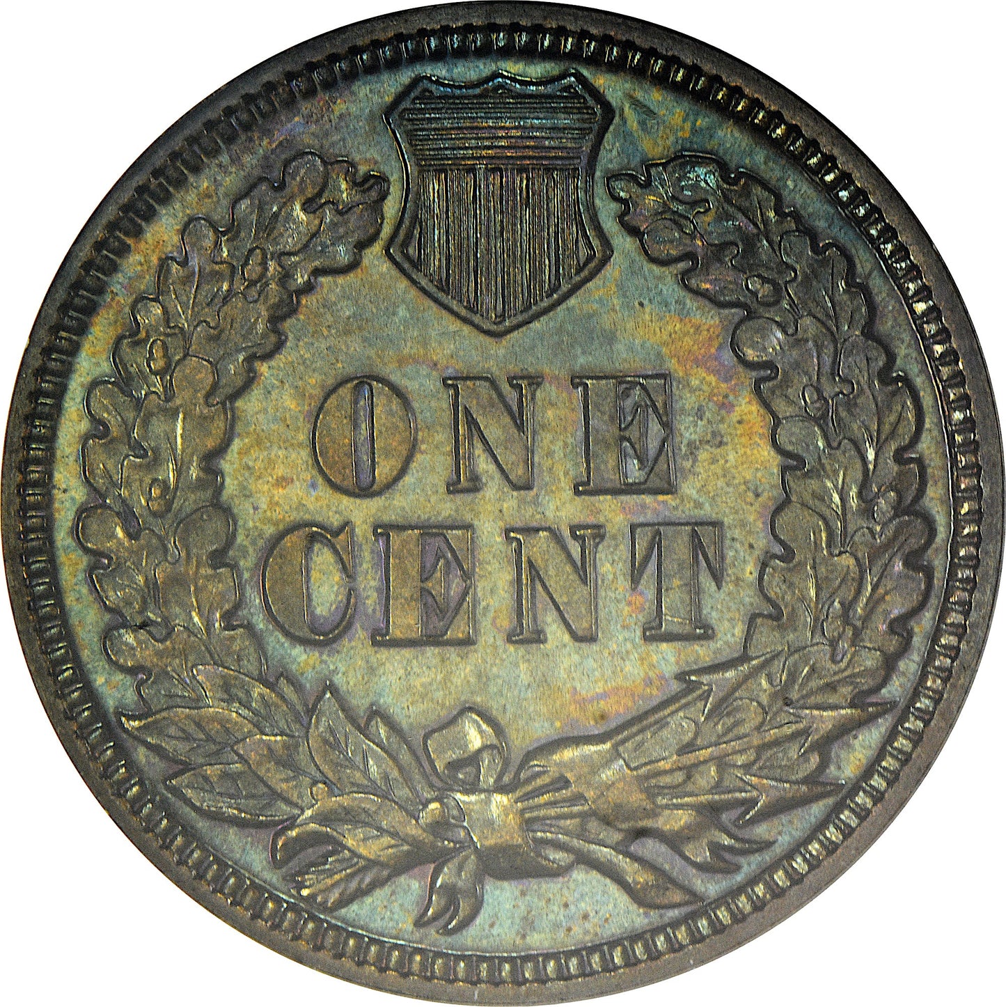 1902 1C PR66 BN NGC OH CAC EEPS