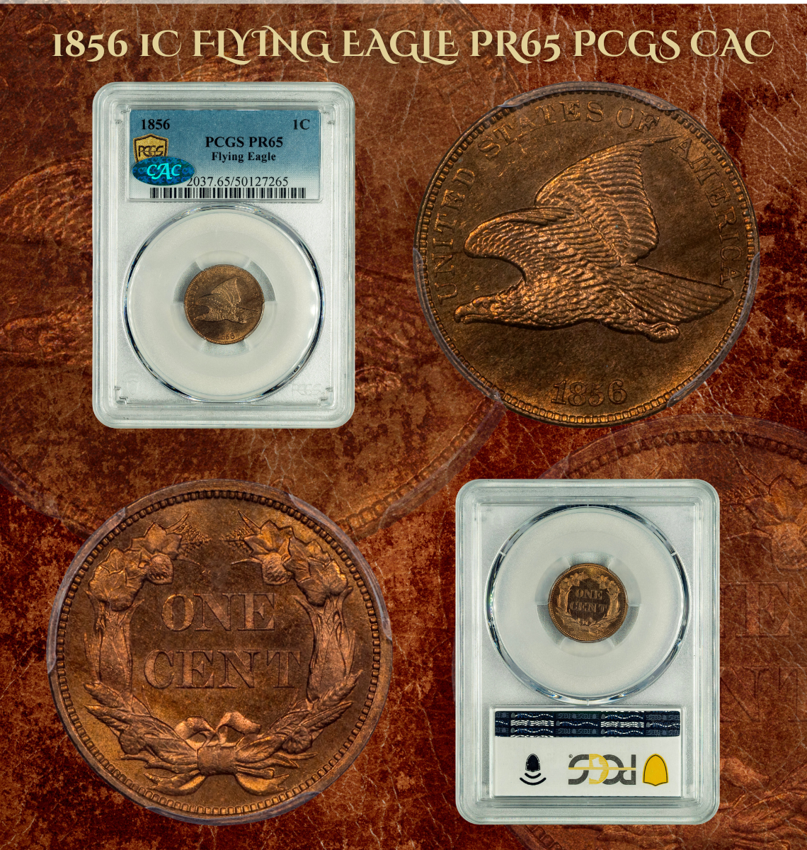 Paradime Coins — coin shop photo