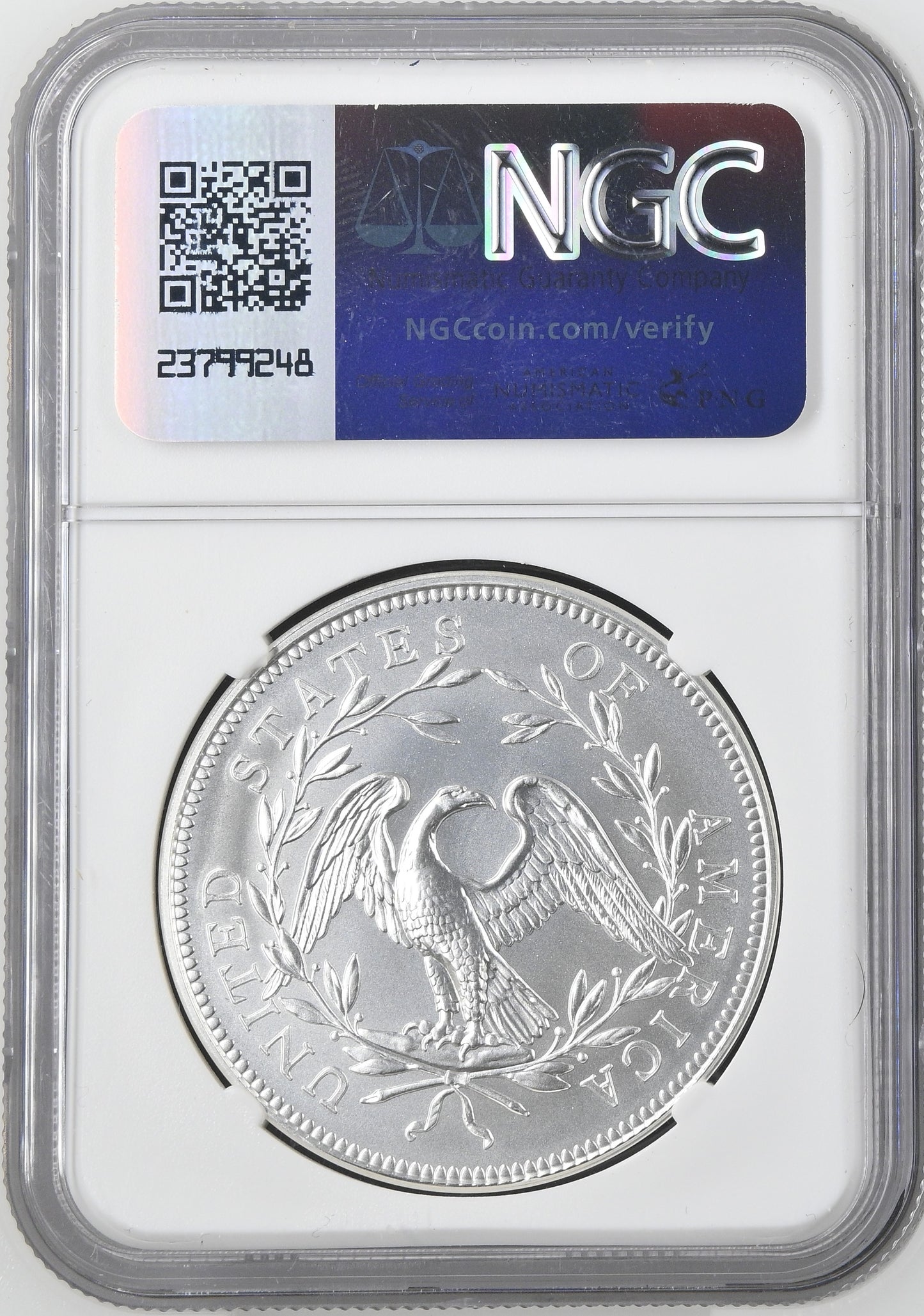 2024 Silver Medal Flowing Hair 230th Anniversary