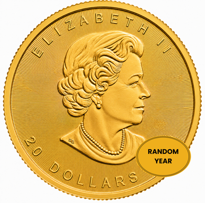1/2 oz Gold Canadian Maple Leaf Coin BU - Random Year