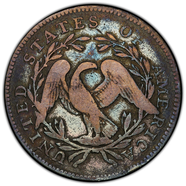 1795 50C F12 PCGS CAC - Paradime Coins | PCGS NGC CACG CAC Rare US Numismatic Coins For Sale