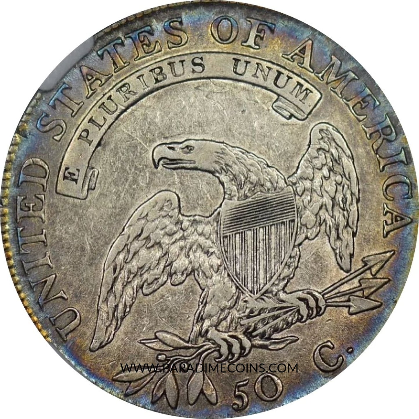 1807 50C LARGE VF25 NGC STAR - Paradime Coins | PCGS NGC CACG CAC Rare US Numismatic Coins For Sale