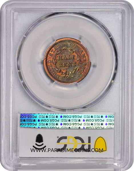 1851 1/2C PR64 BN PCGS GOLD CAC - Paradime Coins | PCGS NGC CACG CAC Rare US Numismatic Coins For Sale