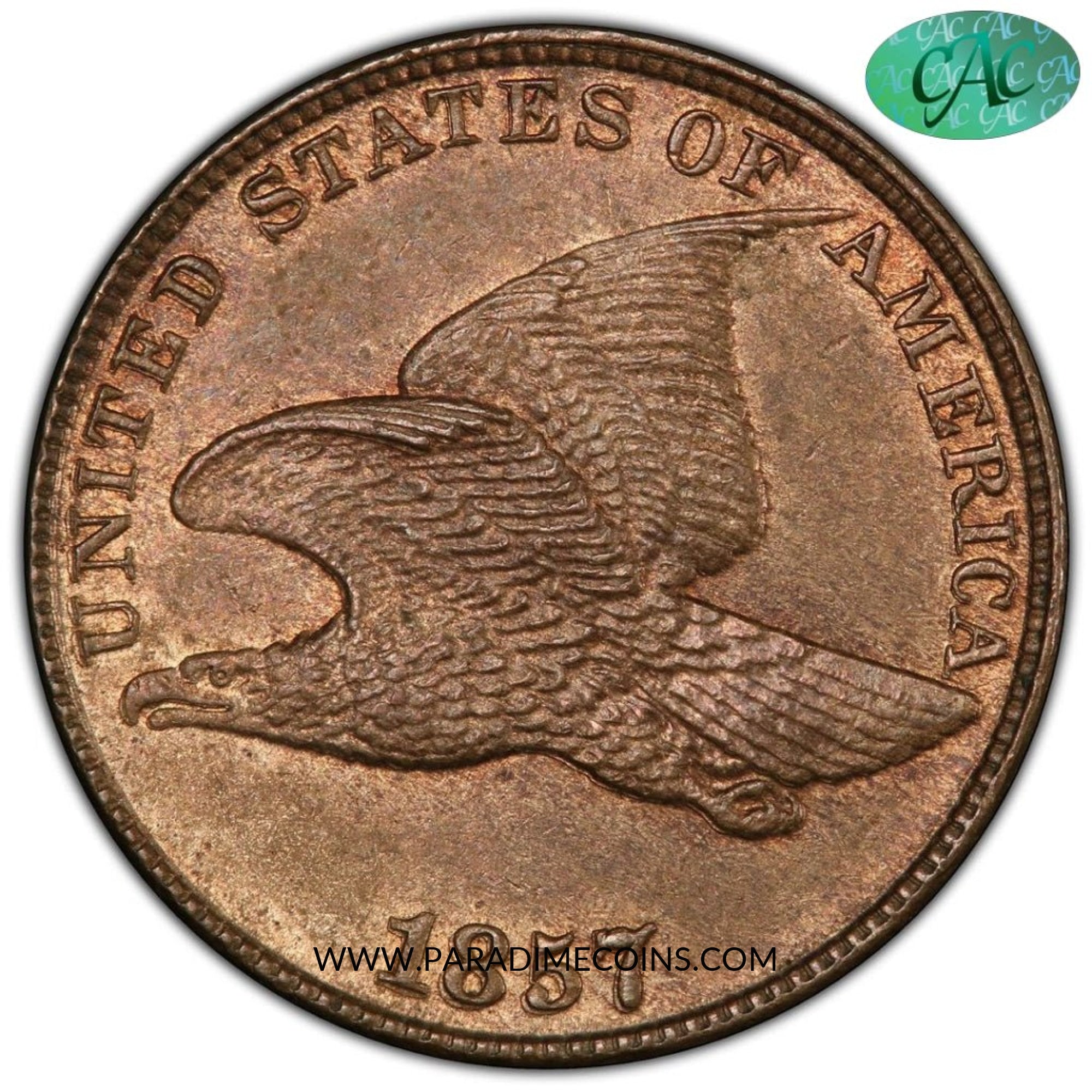 1857 1C FLYING EAGLE MS63 PCGS CAC EEPS - Paradime Coins | PCGS NGC CACG CAC Rare US Numismatic Coins For Sale