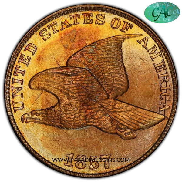 1857 1C Obv Die Clash 50C MS65 PCGS CAC EEPS - Paradime Coins | PCGS NGC CACG CAC Rare US Numismatic Coins For Sale