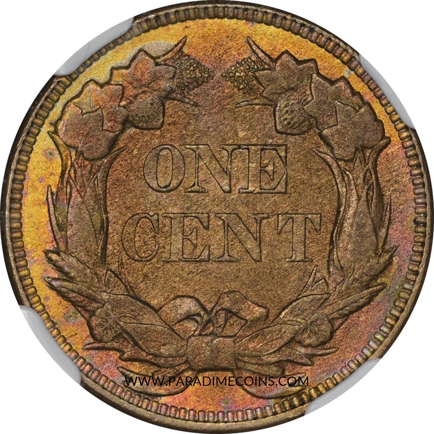 1857 1C FLYING EAGLE MS64 NGC CAC - Paradime Coins | PCGS NGC CACG CAC Rare US Numismatic Coins For Sale