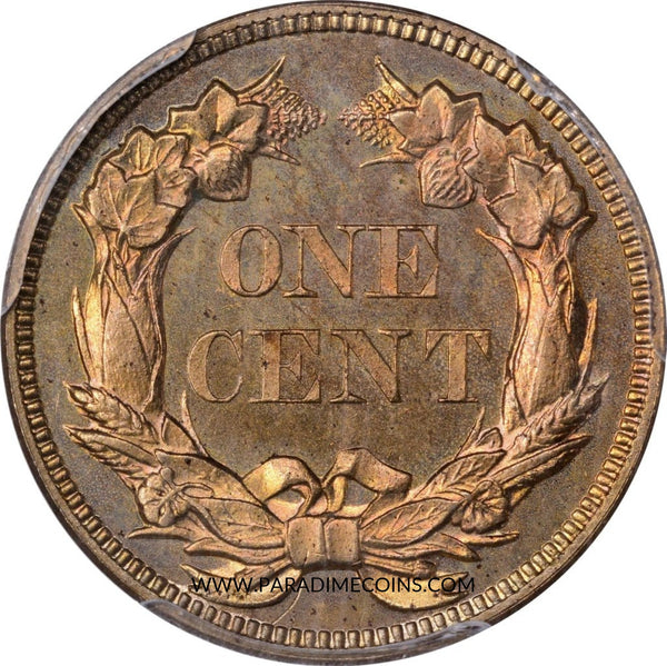1858 1C PR65 CAM LG LT PCGS CAC EEPS - Paradime Coins | PCGS NGC CACG CAC Rare US Numismatic Coins For Sale