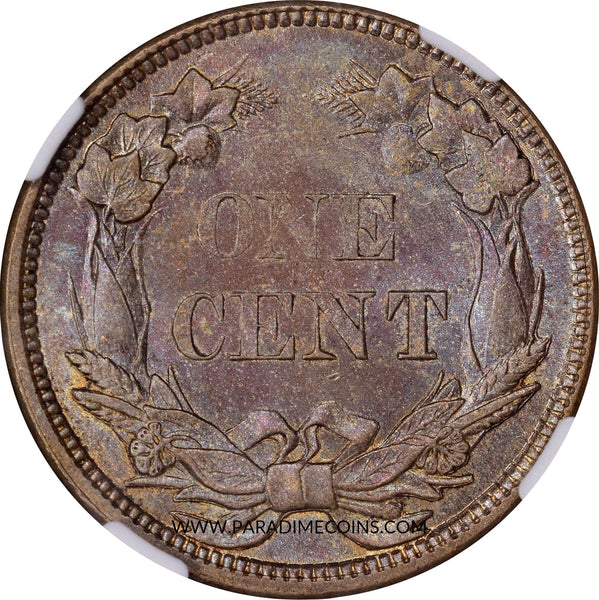 1858 1C SMALL LETTERS MS64 NGC PHOTO SEAL - Paradime Coins | PCGS NGC CACG CAC Rare US Numismatic Coins For Sale