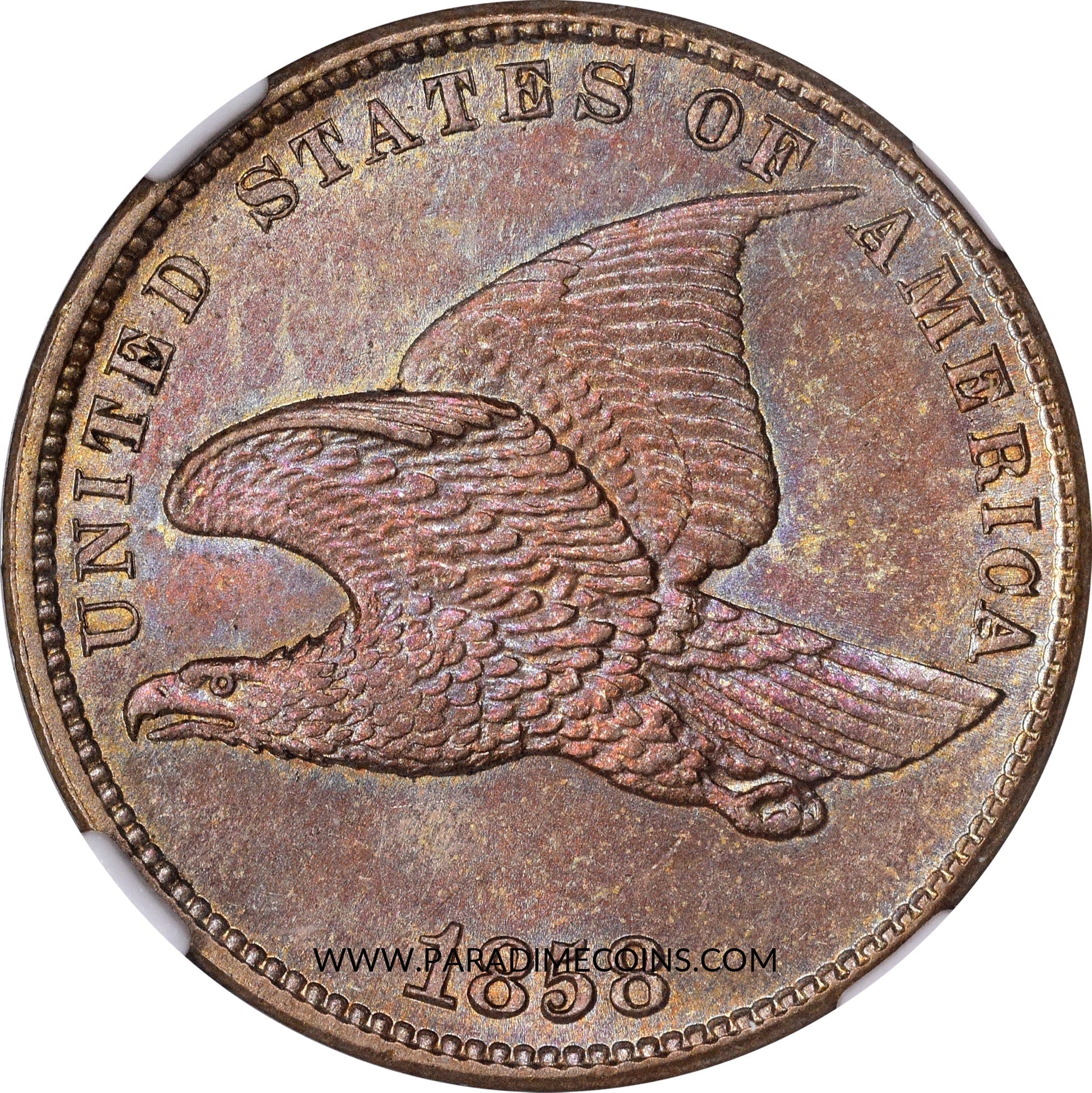 1858 1C SMALL LETTERS MS64 NGC PHOTO SEAL - Paradime Coins | PCGS NGC CACG CAC Rare US Numismatic Coins For Sale