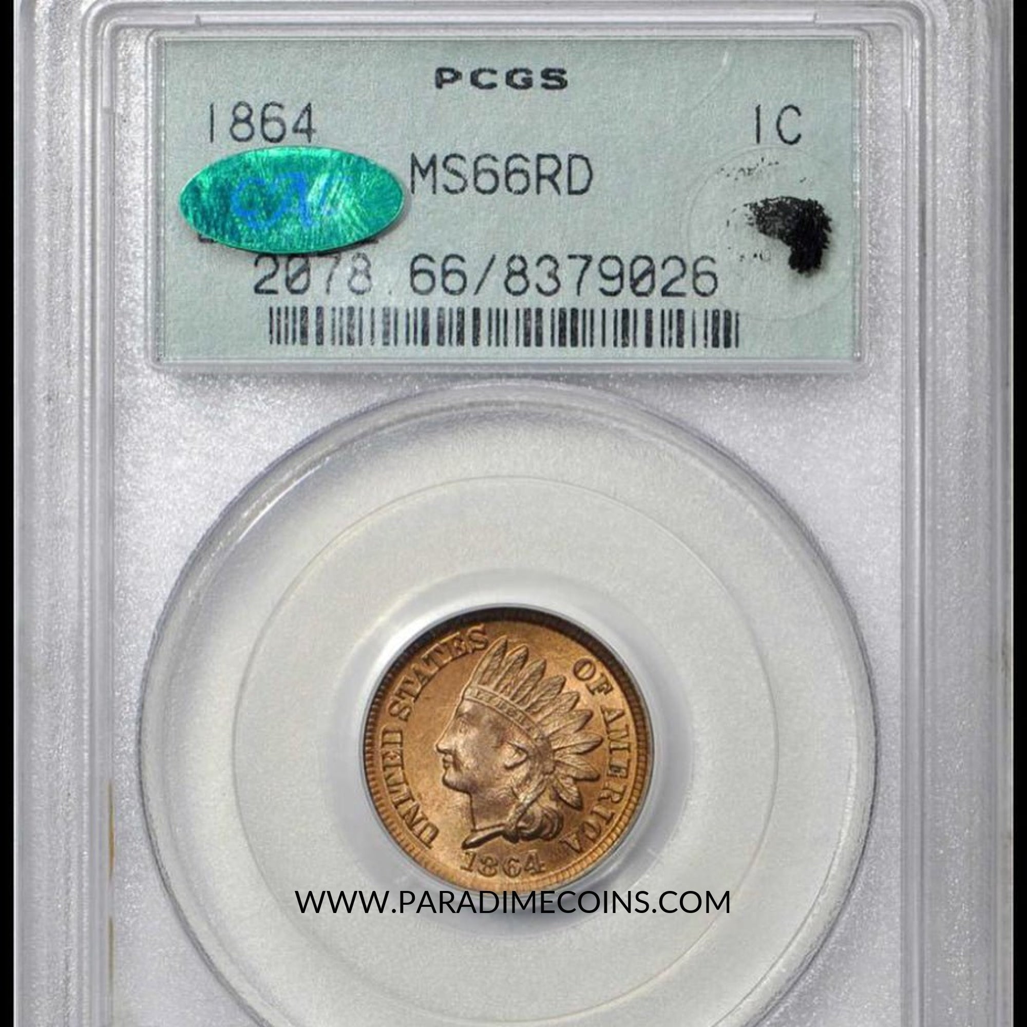 1864 1C MS66RD OGH PCGS CAC EEPS - Paradime Coins | PCGS NGC CACG CAC Rare US Numismatic Coins For Sale