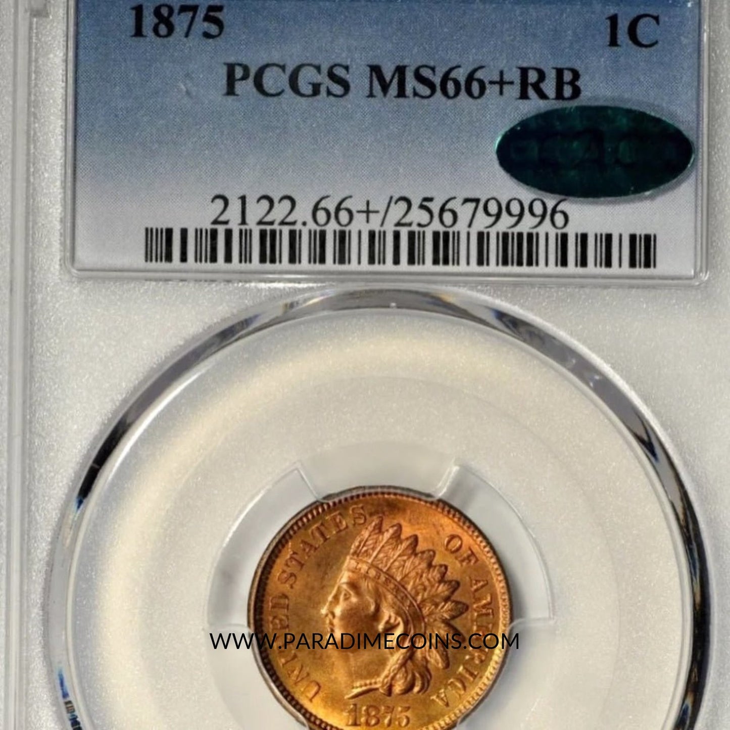 1875 1C MS66+RB PCGS CAC - Paradime Coins | PCGS NGC CACG CAC Rare US Numismatic Coins For Sale