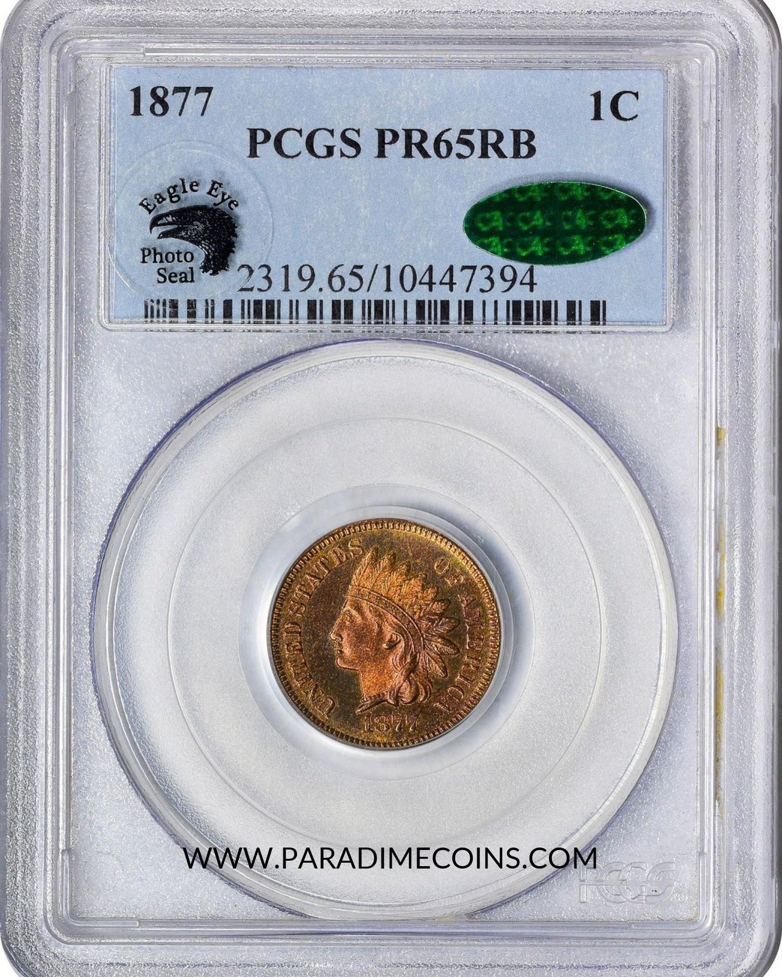 1877 1C PR65 RB PCGS CAC EEPS - Paradime Coins | PCGS NGC CACG CAC Rare US Numismatic Coins For Sale