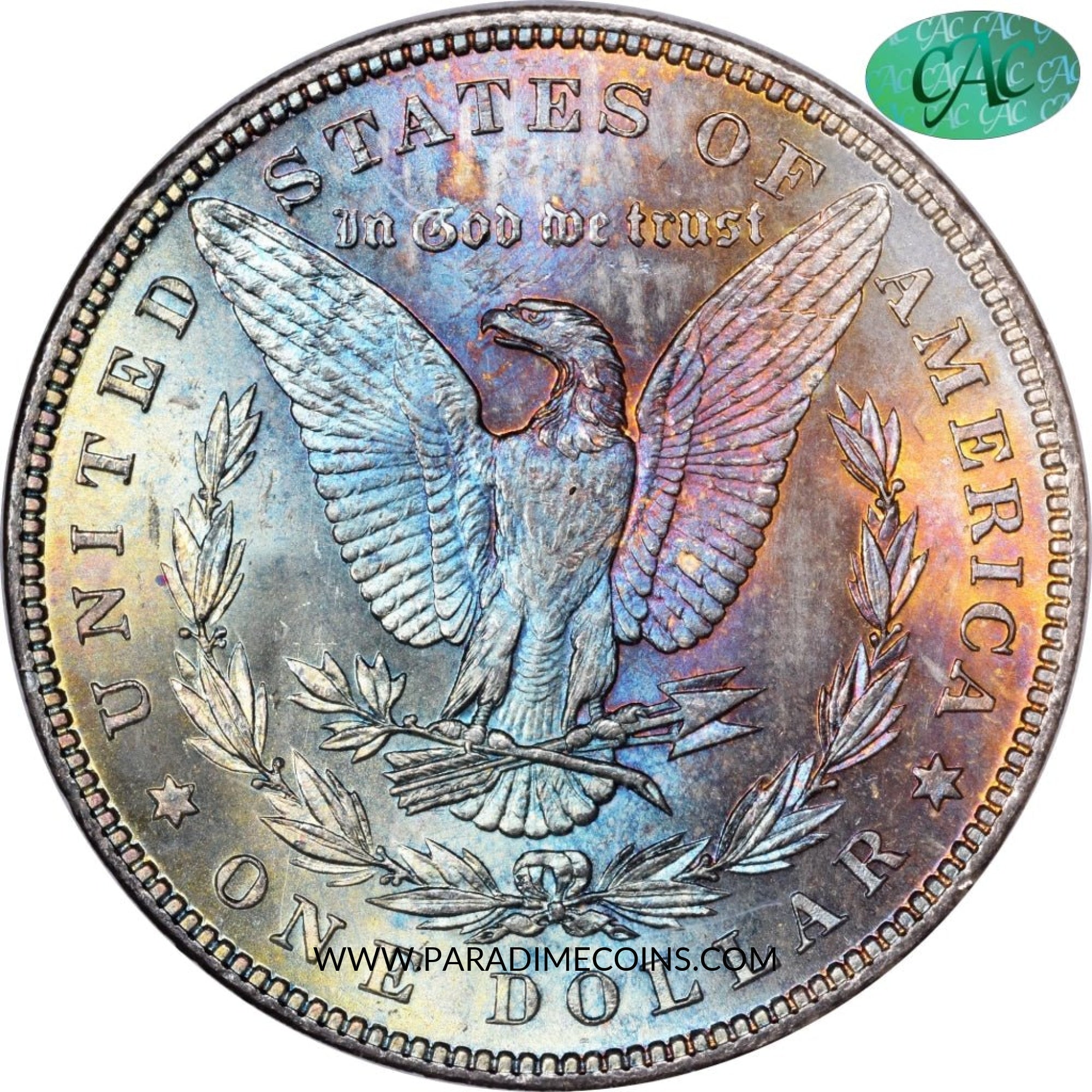 1882 $1 MS63 NGC STAR CAC - Paradime Coins | PCGS NGC CACG CAC Rare US Numismatic Coins For Sale