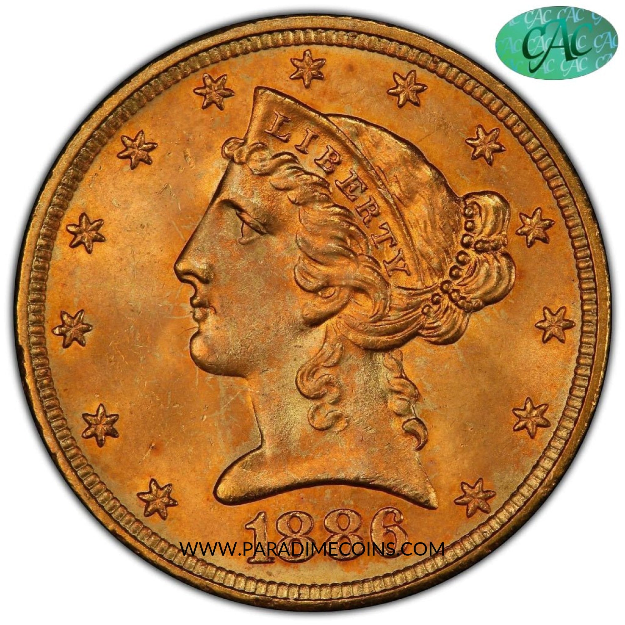 1886 $5 MS66+ PCGS CAC - Paradime Coins | PCGS NGC CACG CAC Rare US Numismatic Coins For Sale