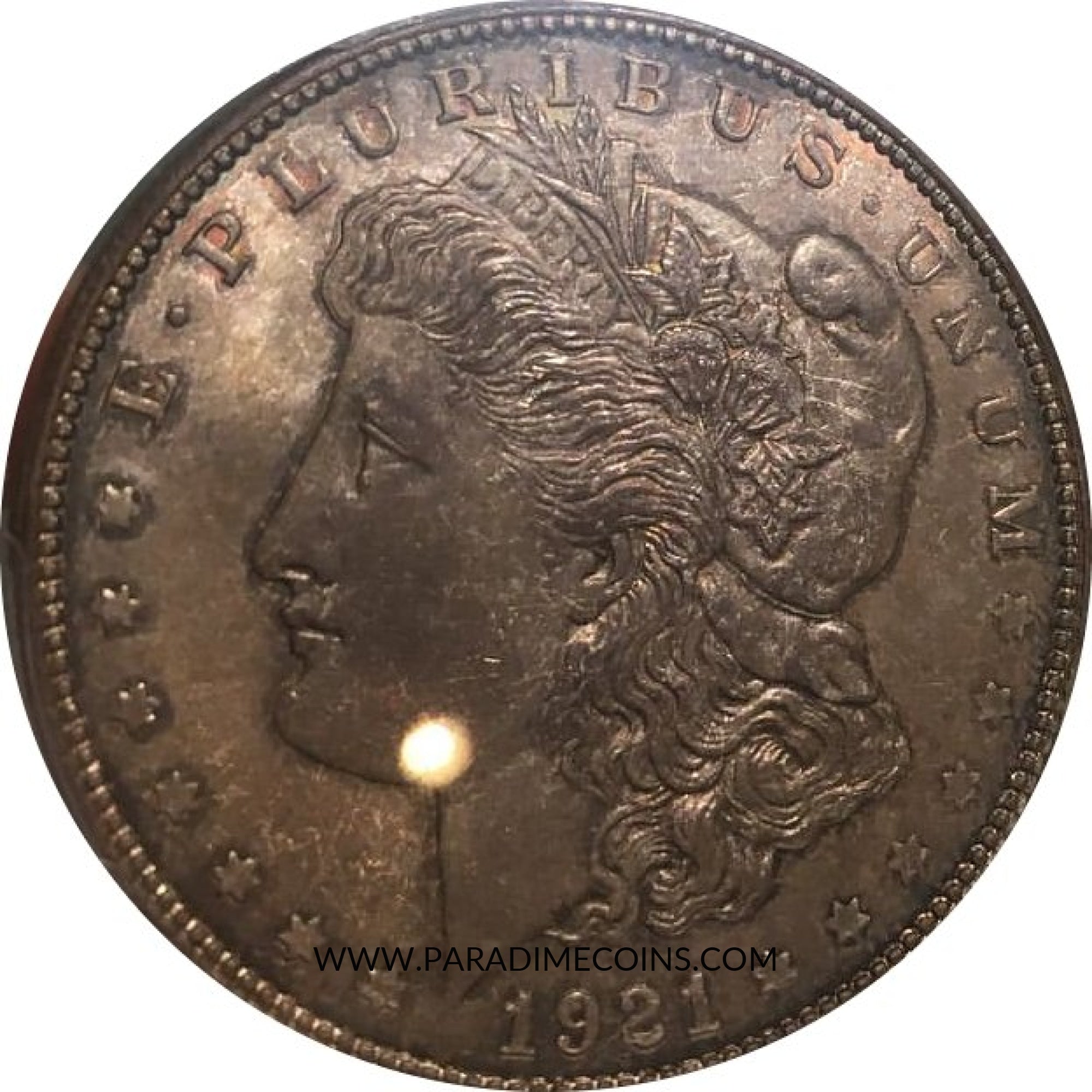 1921-D $1 MS64 PCGS - Paradime Coins | PCGS NGC CACG CAC Rare US Numismatic Coins For Sale